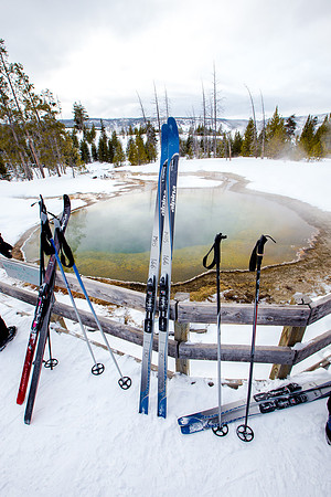 Morning Glory, Yellowstone