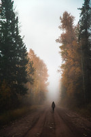 Northfork, Montana