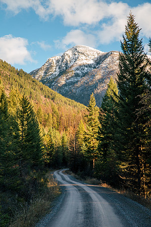 Swan valley