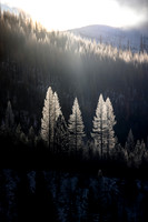 North Fork