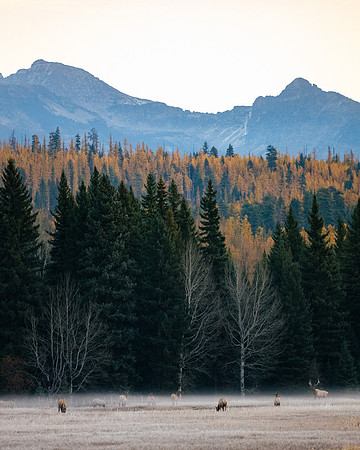 North Fork