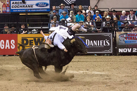 Pro Bull Riders - Billings