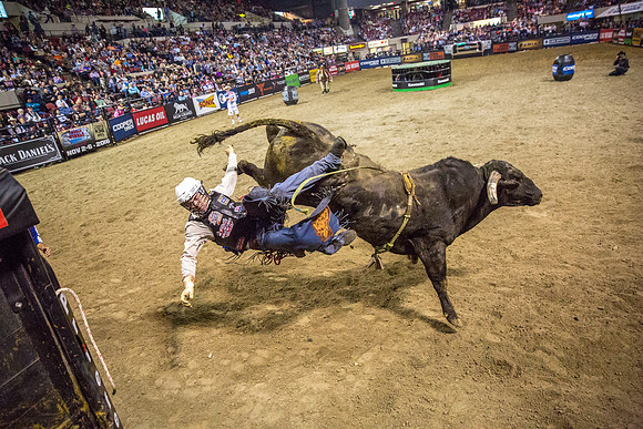 Pro Bull Riders - Billings