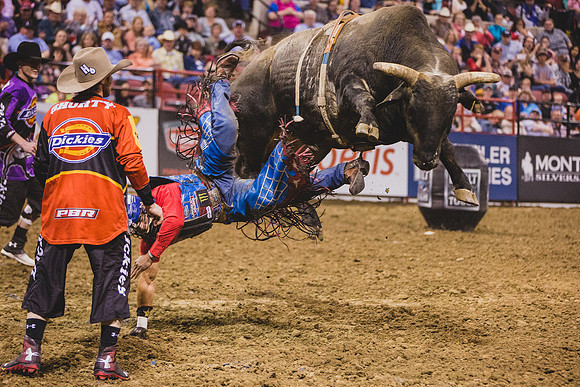 Pro Bull Riders - Billings