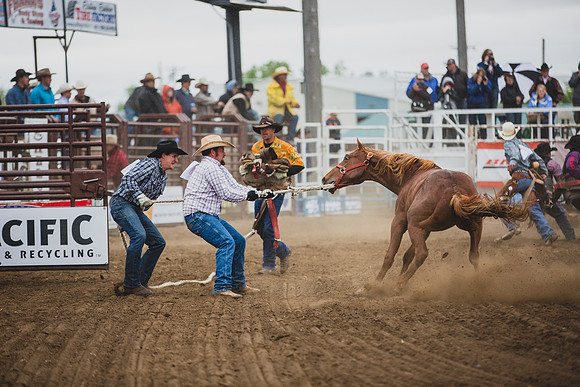 Bucking Horse Sale