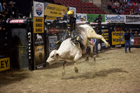 Pro Bull Riders - Billings