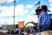 Bucking Horse Sale