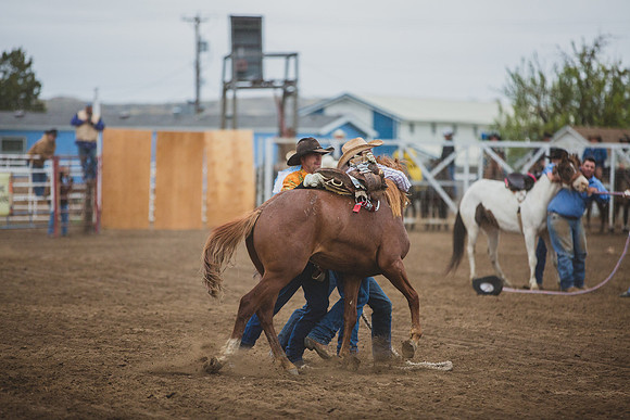Bucking Horse Sale