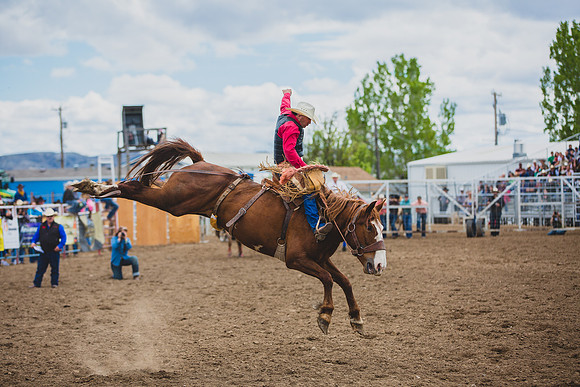 Bucking Horse Sale