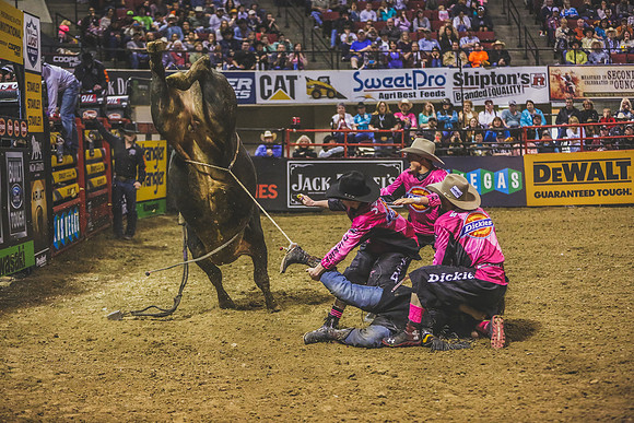 Pro Bull Riders - Billings