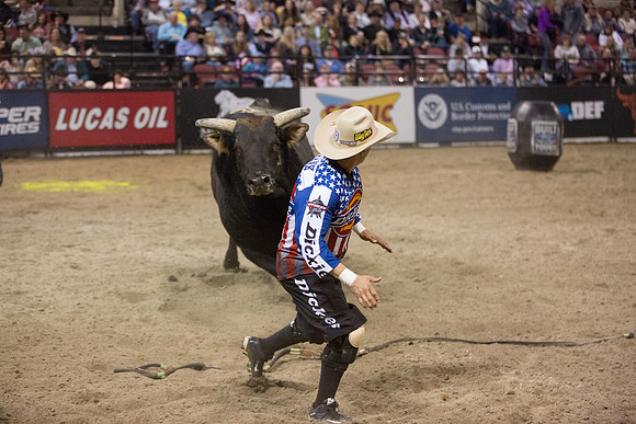 Pro Bull Riders - Billings