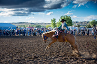 Bucking Horse Sale