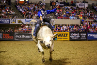 Pro Bull Riders - Billings
