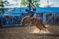 Bucking Horse Sale