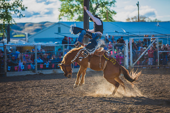 Bucking Horse Sale