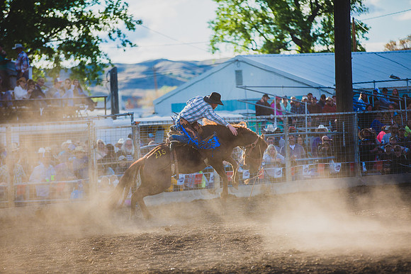 Bucking Horse Sale