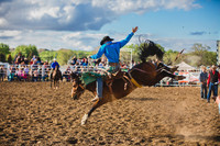 Bucking Horse Sale