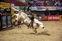 Pro Bull Riders - Billings