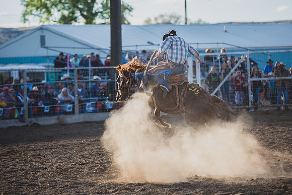 Bucking Horse Sale