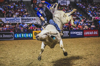 Pro Bull Riders - Billings