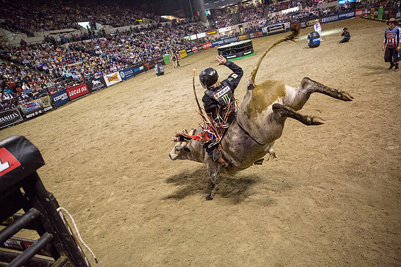 Pro Bull Riders - Billings