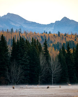 North Fork