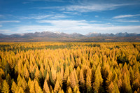 North Fork