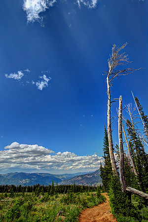 Buck Creek Ridge Trail