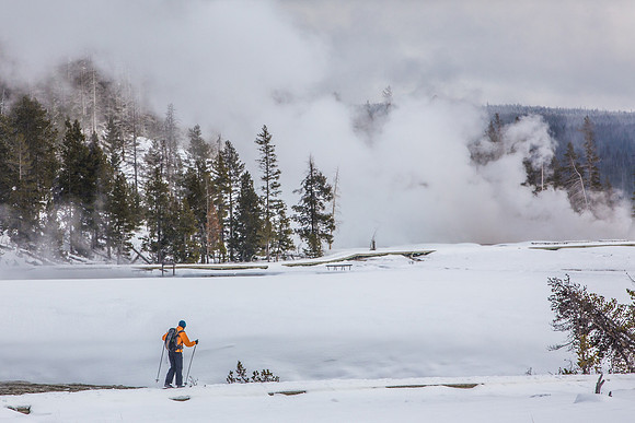 Upper Geyser Basin, Yellowstone NPS