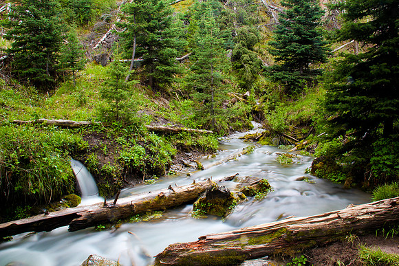 A small spring on the trail to Ousel Falls