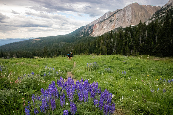 Bridger Mountains Gallatin National Forest