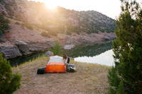 Wild Montana