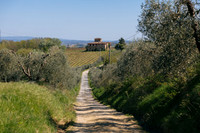 Via Francigena