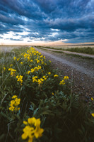 Bowdoin National Wildlife Refuge