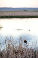 Bowdoin National Wildlife Refuge