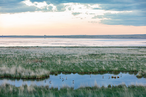 Bowdoin National Wildlife Refuge
