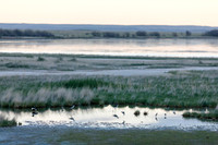 Bowdoin National Wildlife Refuge