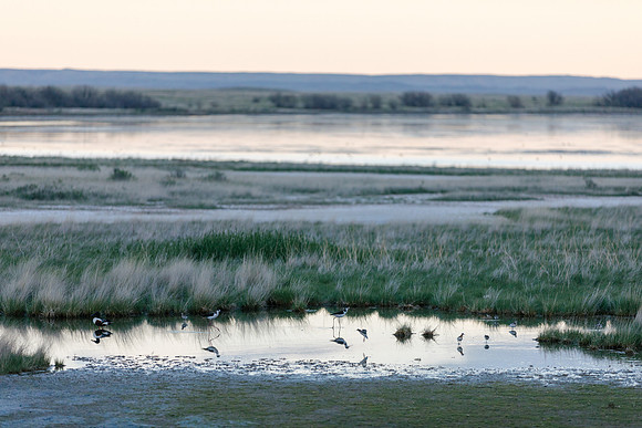 Bowdoin National Wildlife Refuge