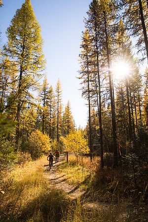 Whitefish Trail Mountain Biking