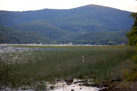 Bowman Lake