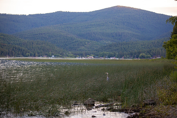 Bowman Lake