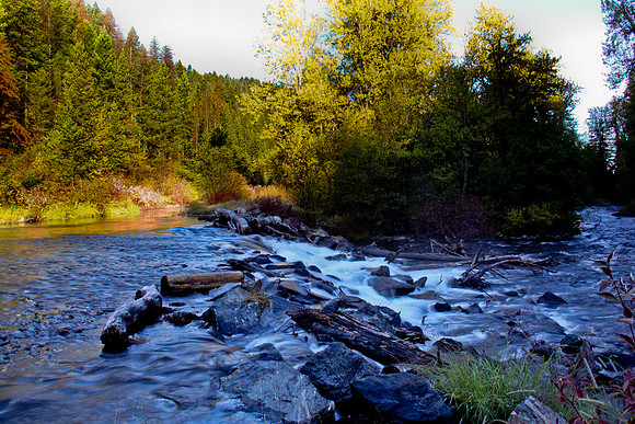 Hyalite Creek