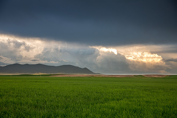 Highwood, MT