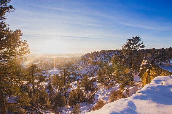 Billings' Rims