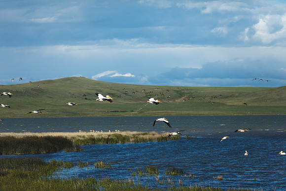 Freezeout Lake