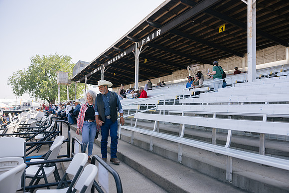Bucking Horse Sale