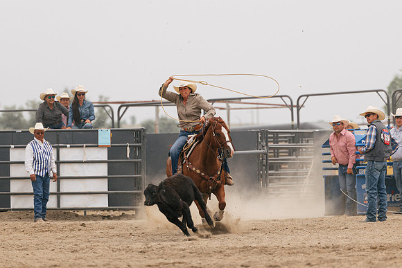 Crow Fair