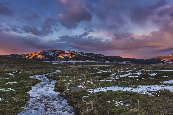 Spring Creek outside of of Bozeman, Montana