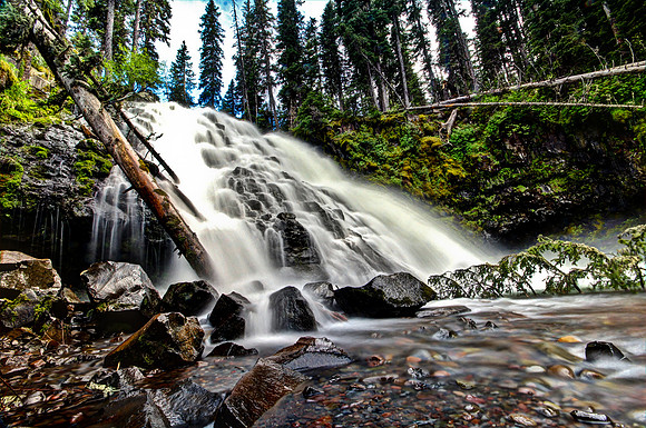 Grotto Falls