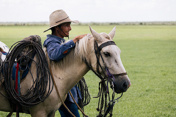 Grasslands of Colombia